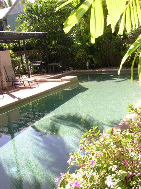 Nautilus Holiday Apartments - Accommodation in Brisbane 2