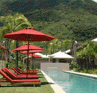 Mango Lagoon Resort And Wellness Spa - Accommodation in Brisbane