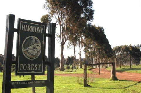 Harmony Forest - Accommodation in Brisbane 0