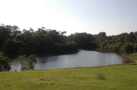 Harmony Forest - Accommodation in Brisbane 1