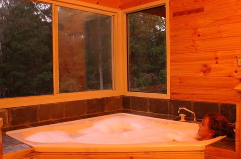 Harmony Forest - Accommodation in Brisbane 3