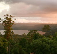 Montville Misty View Cabins - Accommodation in Brisbane