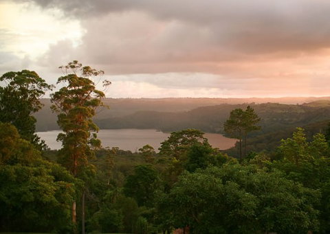 Montville Misty View Cabins - Accommodation in Brisbane 0