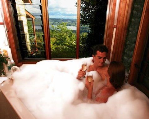 Montville Misty View Cabins - Accommodation in Brisbane 1