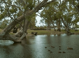 Bordertown Abode Parkland Motel - Accommodation in Brisbane 2