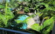 Metzo Noosa Resort - thumb 3
