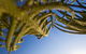 Terrigal Sails Serviced Apartments - thumb 5