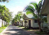 Central Tourist Park - Budget Accommodation - Accommodation in Brisbane 0