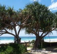 Pacific Surf Absolute Beachfront Apartments - Accommodation in Brisbane