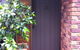 Bardon B&B - thumb 1