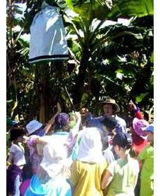 Cudgen NSW Accommodation in Brisbane