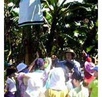 Beachfarm Farmstay - Accommodation in Brisbane