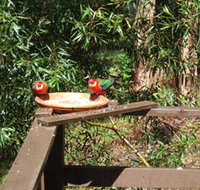 Tree Tops - Accommodation in Brisbane