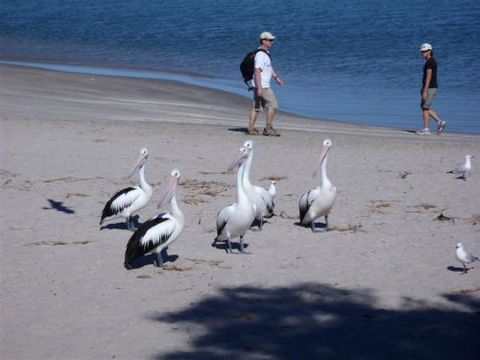 Kalbarri Accommodation Service - Accommodation in Brisbane 5