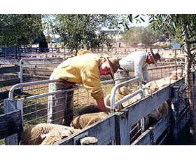 Old Nubba Schoolhouse - Accommodation in Brisbane 0