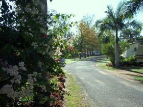 Riverview Caravan Park Gayndah - Accommodation in Brisbane 0