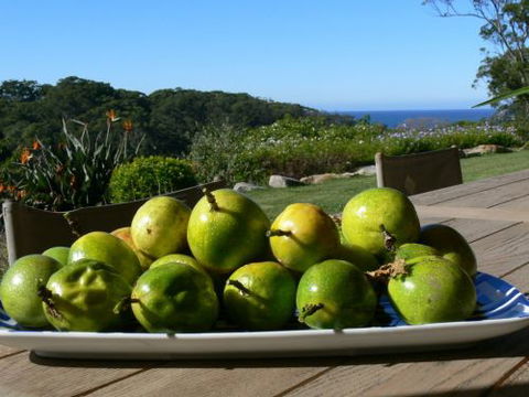 The Outlook Cabana - Accommodation in Brisbane 8