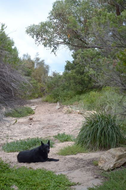 Dune Hideaway - Accommodation in Brisbane 3