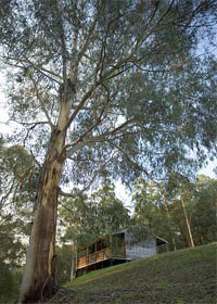 Ada VIC Accommodation in Brisbane