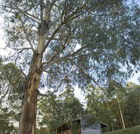 Outpost Restaurant - Accommodation in Brisbane