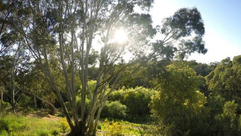 Springs Creek - Accommodation in Brisbane 4