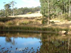 Kiah Nunyara Accommodation - Accommodation in Brisbane 0