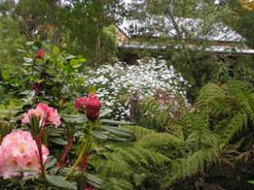 Lorne VIC Accommodation in Brisbane