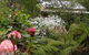 Lorne Lemonade Creek Cottages - thumb 0