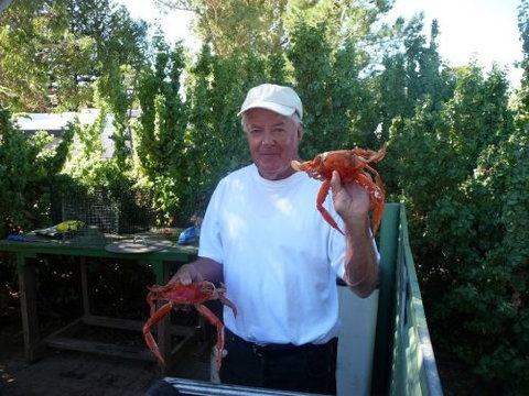 Cowell Foreshore Caravan Park & Holiday Units - Accommodation in Brisbane 4