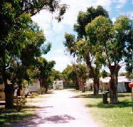 Bathers Paradise Caravan Park - Accommodation in Brisbane