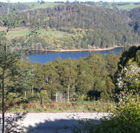 Charlyn Lodge - Accommodation in Brisbane