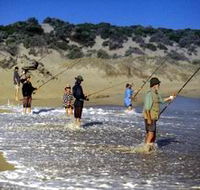 Flippers Beachouse - Accommodation in Brisbane