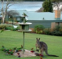 Gipsy Point Lakeside - Accommodation in Brisbane