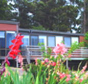 Mount Roland View - Accommodation in Brisbane