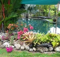 Daintree Wild Bed And Breakfast - Accommodation in Brisbane
