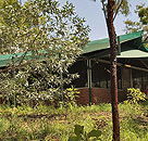 Arnhemland Barramundi Nature Lodge - Accommodation in Brisbane