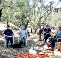 Bimbimbi And Little Hollow Farm Stay - Accommodation in Brisbane