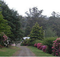 Mountain Rivers Lodge - Accommodation in Brisbane