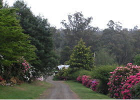Mountain Rivers Lodge - Accommodation in Brisbane 0