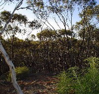 Lions Dryandra Woodlands Village - Accommodation in Brisbane
