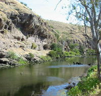 Paringa Cottage - Accommodation in Brisbane