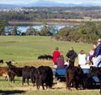 Bonny Brae - Accommodation in Brisbane