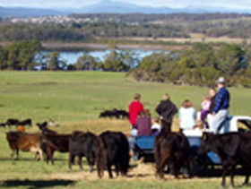 Bonny Brae - Accommodation in Brisbane 0