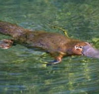 Eilean Donan Gardens - Accommodation in Brisbane