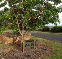 Belle Vue Studio - Accommodation in Brisbane