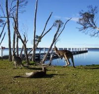 Waterfront Retreat At Wattle Point - Accommodation in Brisbane