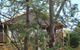 Blue Cliffs Retreat - thumb 0