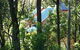 102a Bermagui - thumb 3