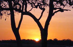 Coodardie Station Stay - Accommodation in Brisbane 0