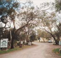 Beautiful Valley Caravan Park Cabins - Accommodation in Brisbane